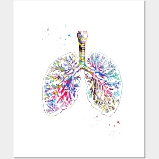 Anatomical Lungs Posters and Art